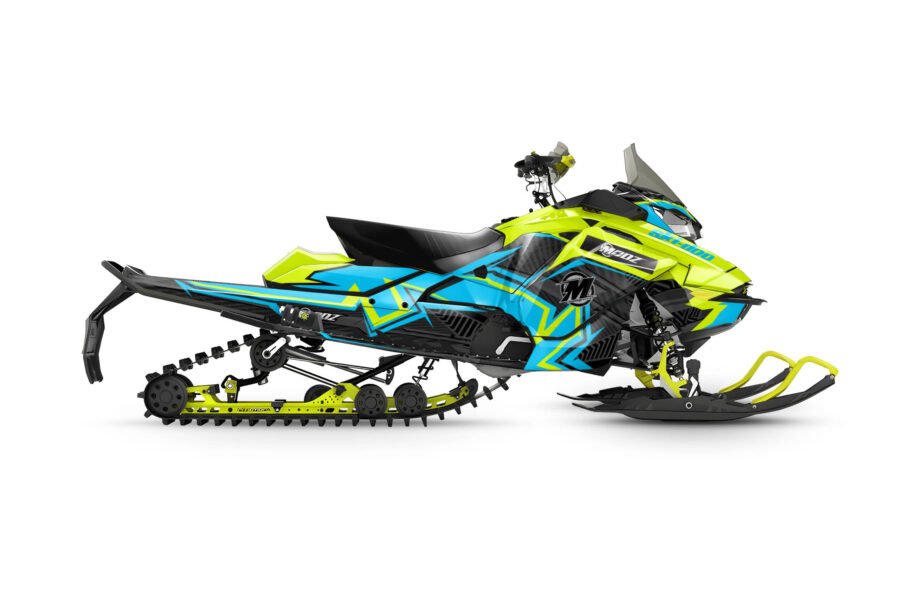 Ski Doo Rev 850 Renegade 2017-2018